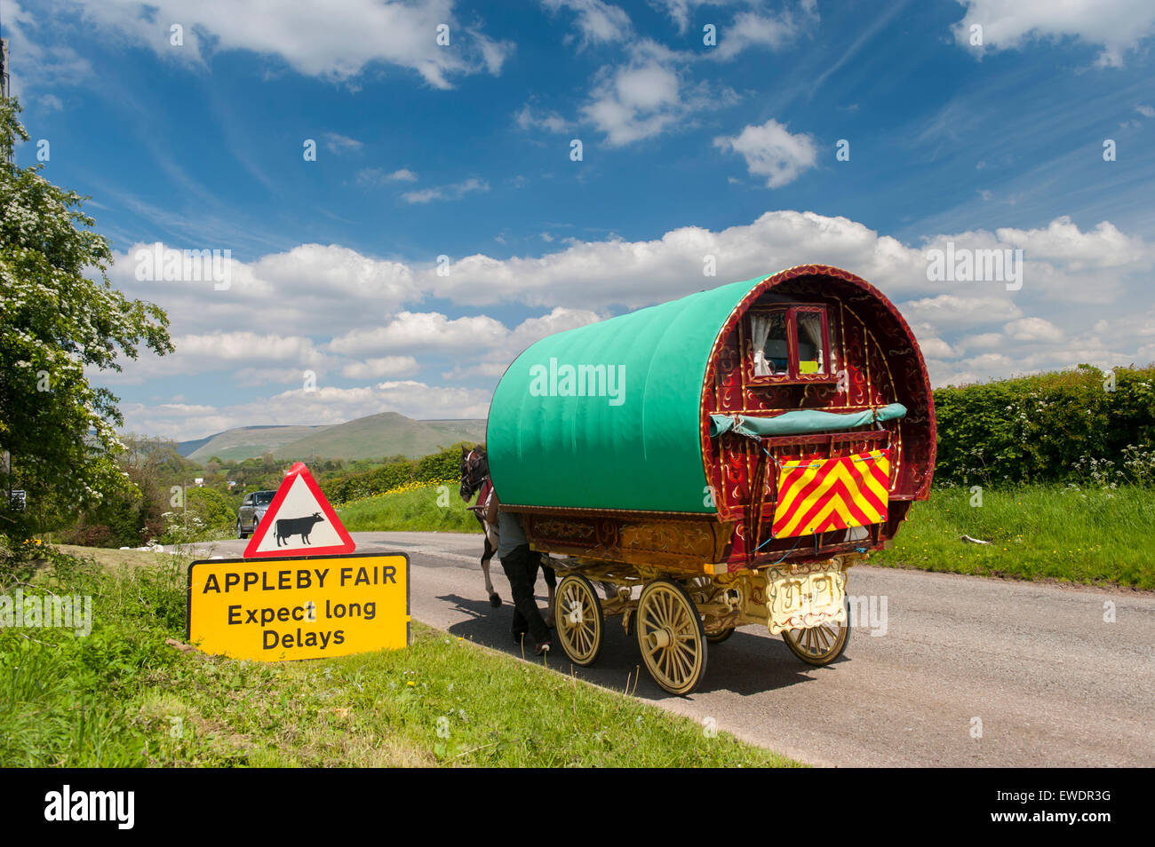 Signs warning of slow traffic on road to Appleby Horse Fair 2015, with horse drawn caravans passing by. Stock Photo