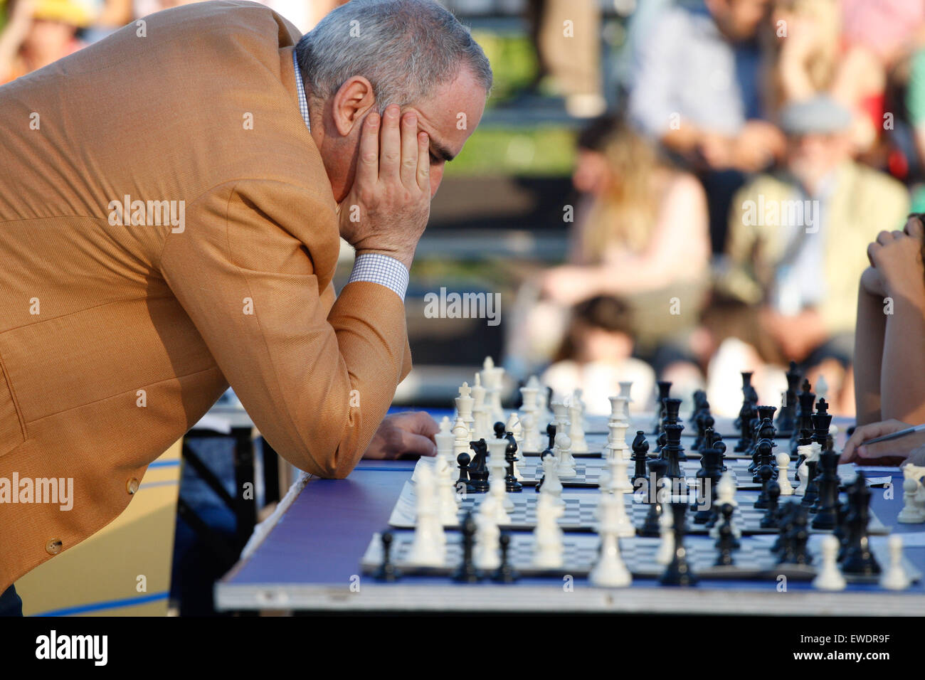 1,068 World Chess Grandmaster Stock Photos, High-Res Pictures, and