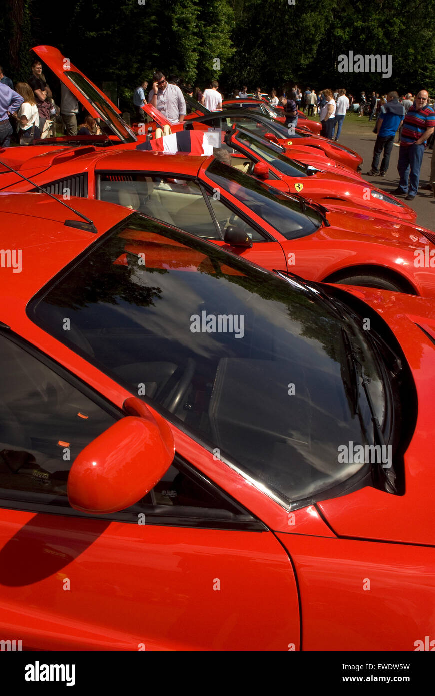 A lineup of Ferrari's at a Classic Car Show, Liphook, Hampshire, UK