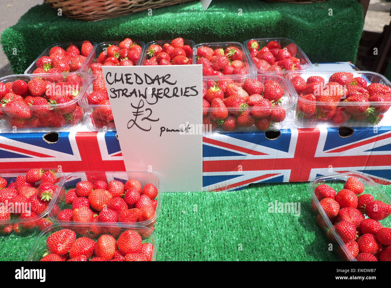 British strawberries for sale grown in Cheddar Somerset price £2 per