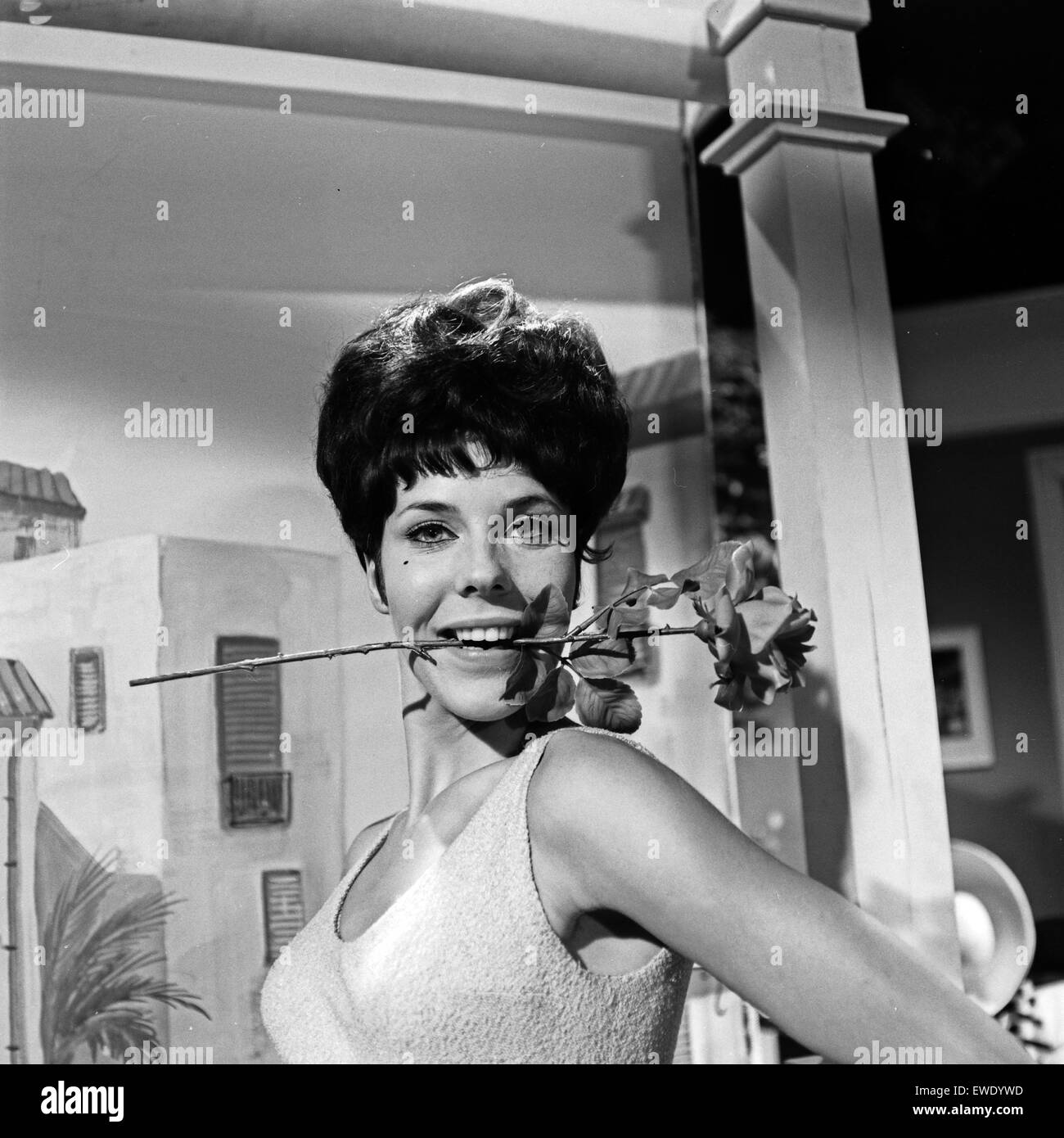 Deutsche Schauspielerin Hannelore Cremer, Deutschland 1960er Jahre ...