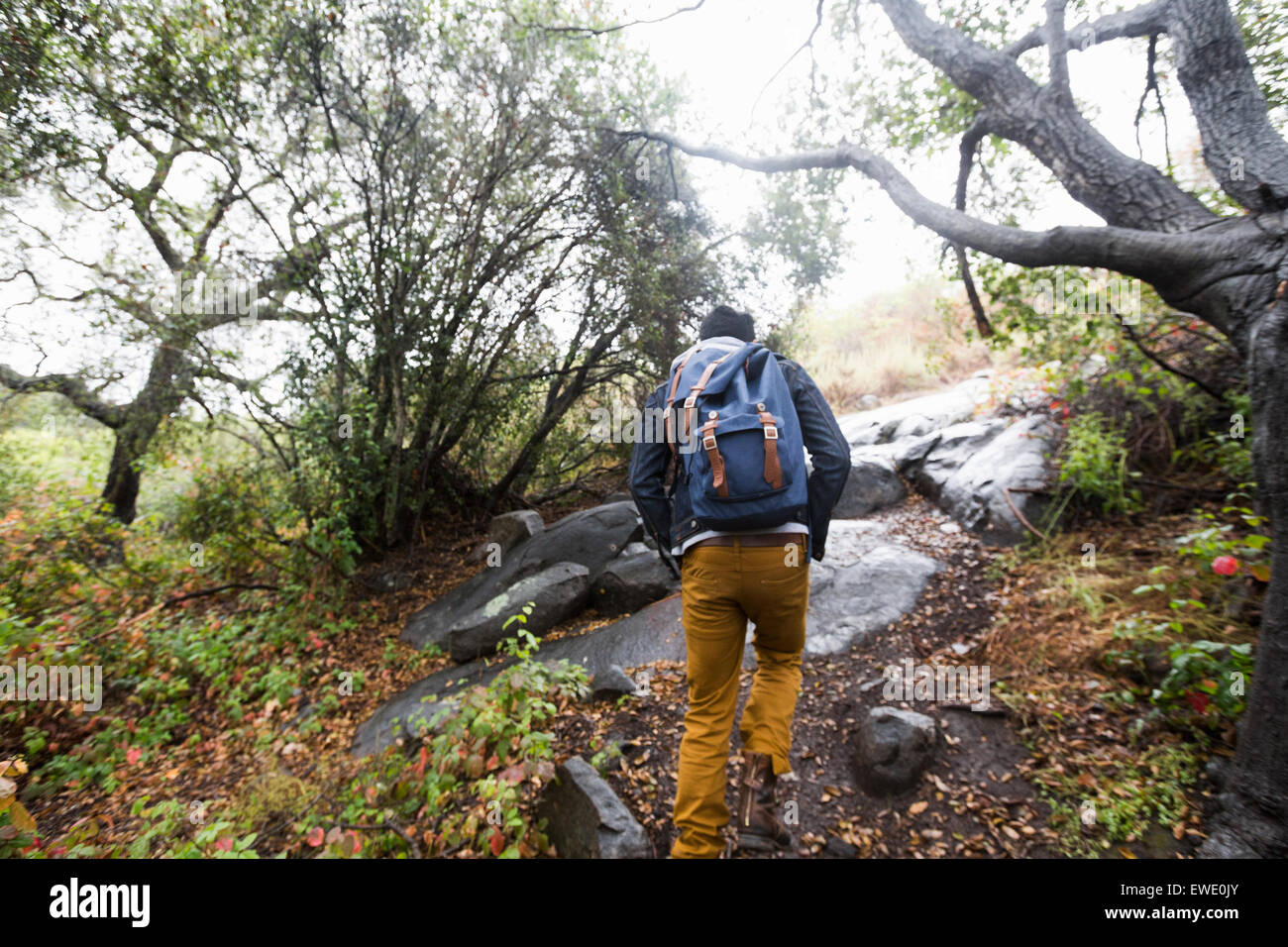 Young man carrying a backpack hiking Stock Photo Alamy