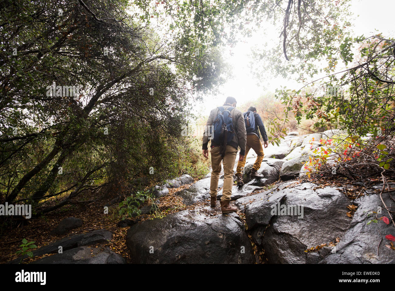 Two young men carrying backpacks hiking Stock Photo