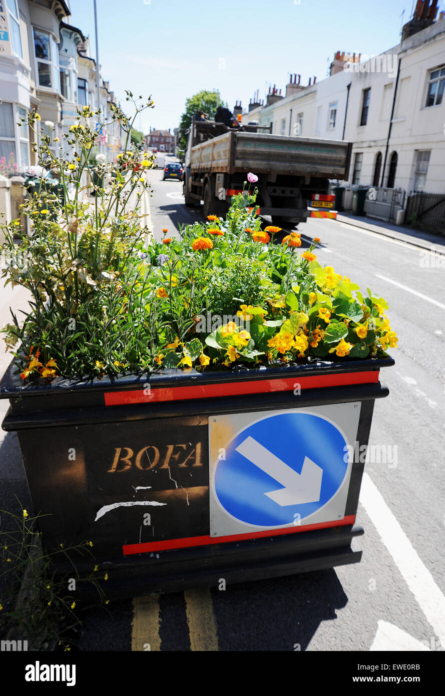 Brighton, UK. 24th June, 2015. The controversial traffic calming plant pots in Viaduct Road Brighton are now bursting into life with wild flowers including poppies coming into flower The four planters caused a major stir when they were introduced by the city council back in February and were branded as dangerous by both drivers and local residents Stock Photo