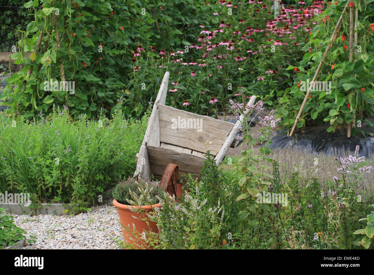 Wheelbarrow vegetable garden gardening hires stock photography and