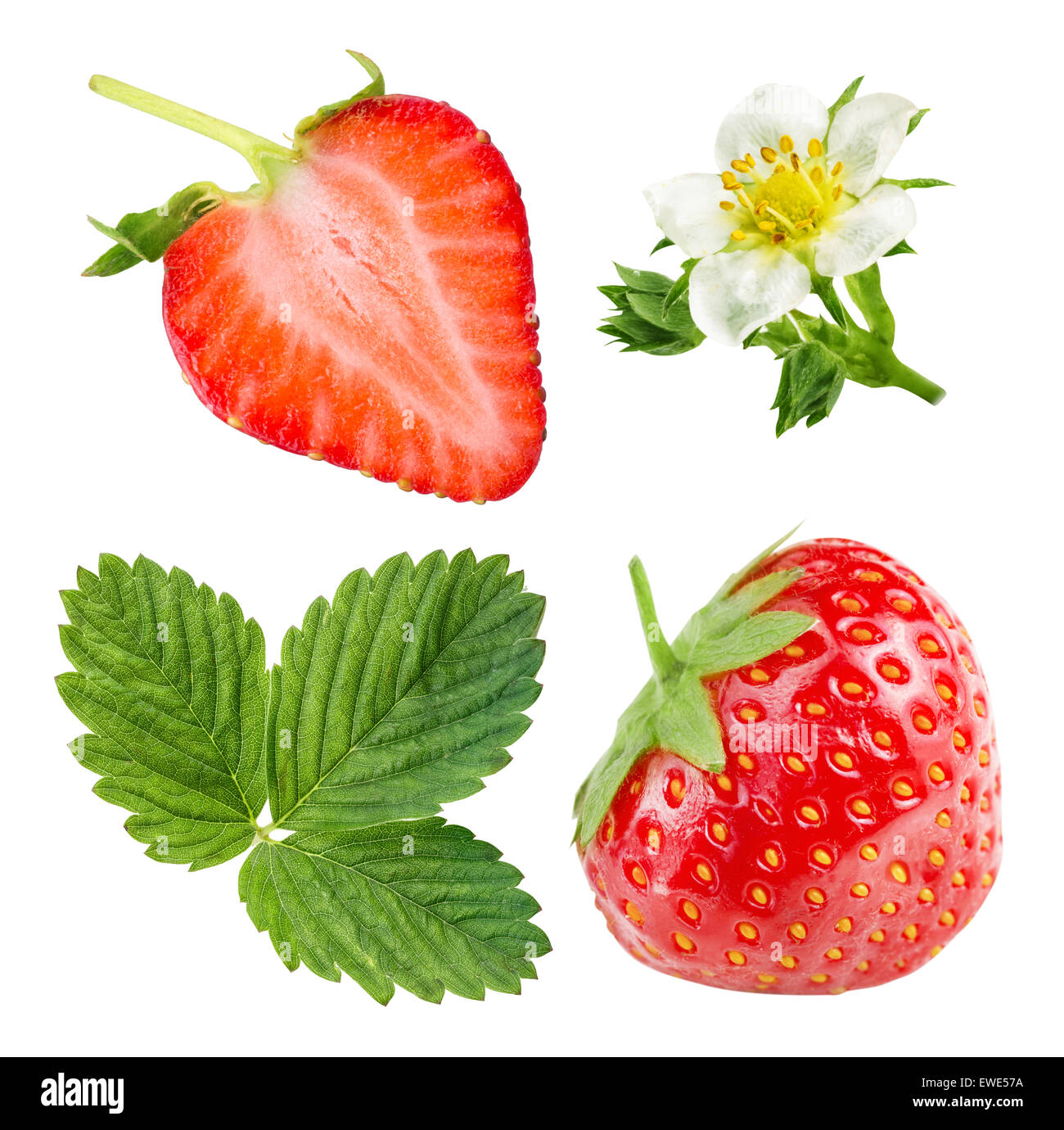 Strawberries on a white background close-up Stock Photo - Alamy