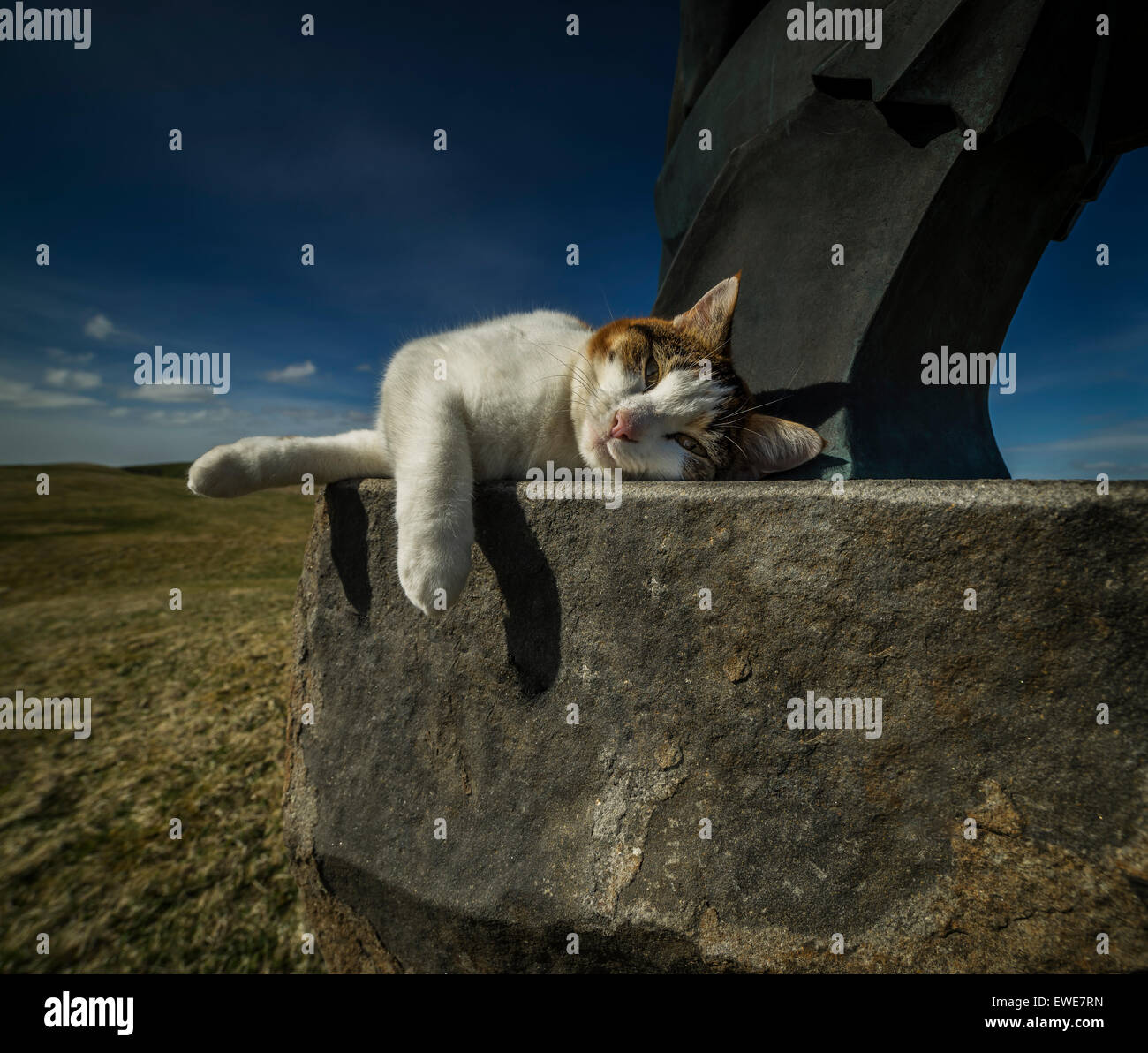 Cat on statue (Saemundur a selnum), by Oddakirkja church, Iceland.  'Saemundur a Selnum' a statue by Asmundur Sveinsson. Stock Photo