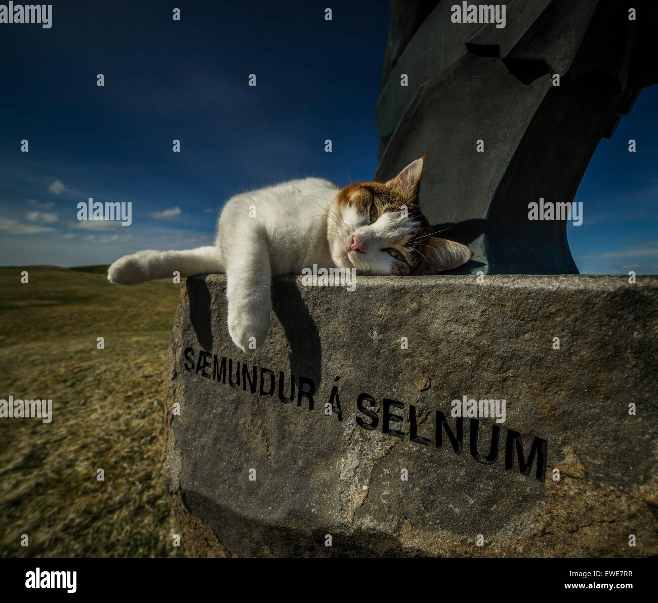 Cat on statue (Saemundur a selnum), by Oddakirkja church, Iceland.  'Saemundur a Selnum' a statue by Asmundur Sveinsson. Stock Photo
