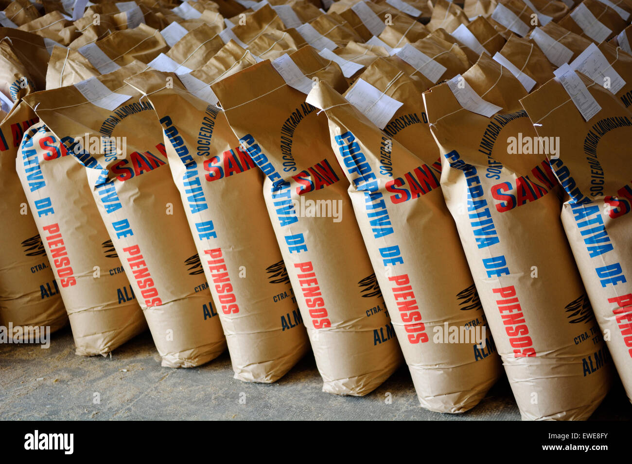 Bags of wheat in warehouse Stock Photo