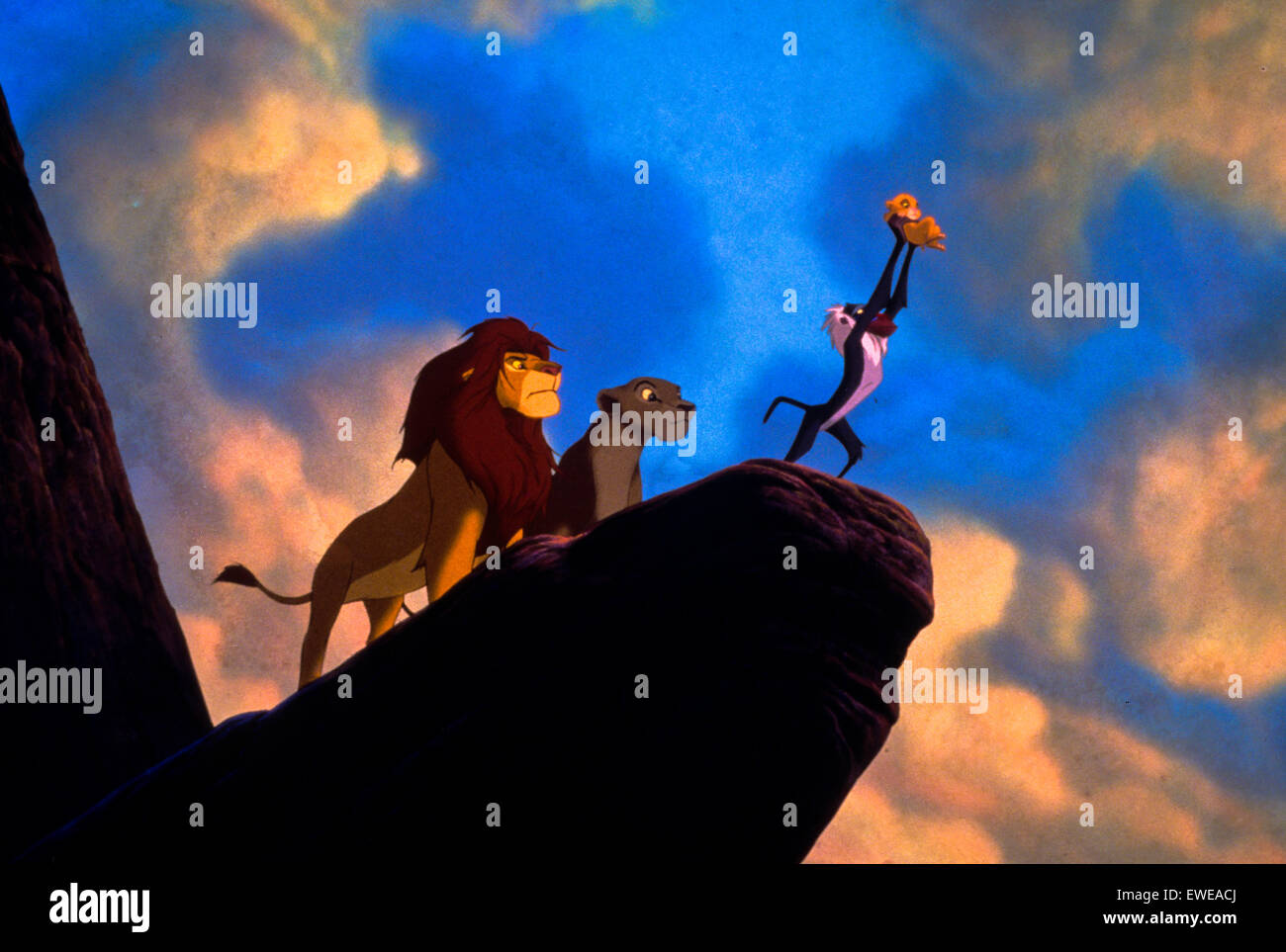 Lion king Stock Photo