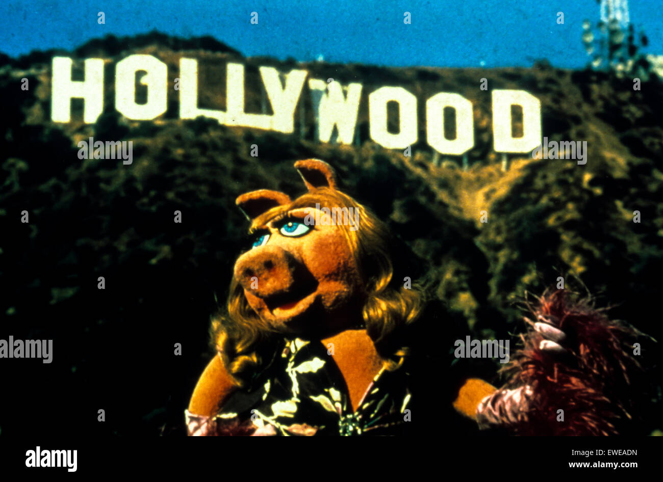 Muppets movie, 2011 Stock Photo