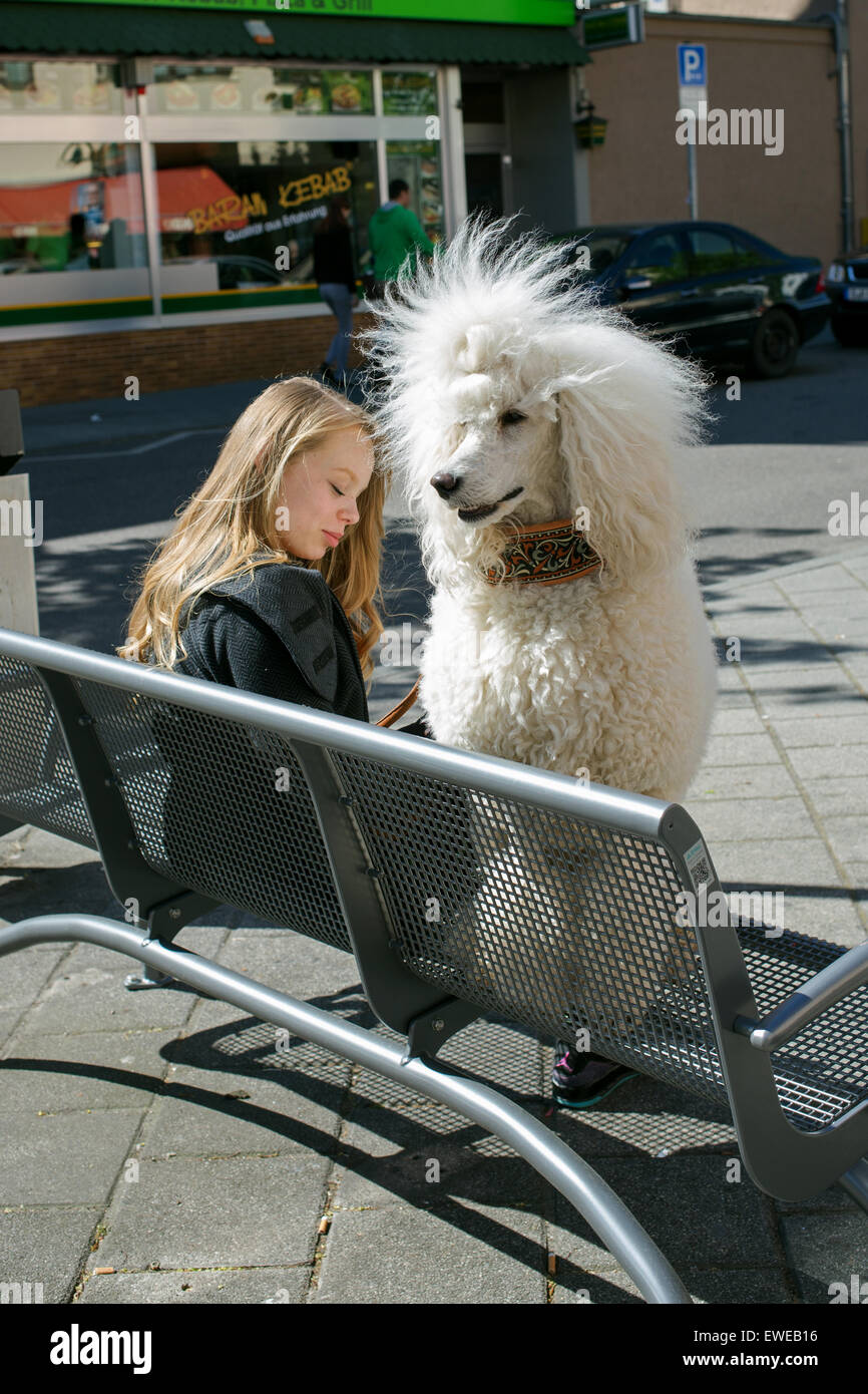 Stuttgart, Germany, Koenig Poodle and a girl sitting on a bench Stock Photo