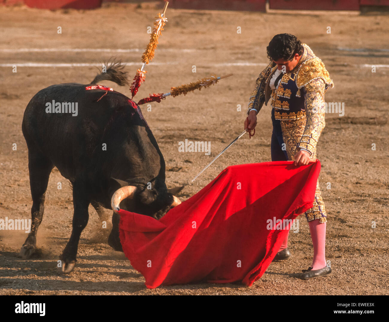 CARACAS, VENEZUELA - Matador waves red cape in front of bull during bullfight in arena. 1988 Stock Photo