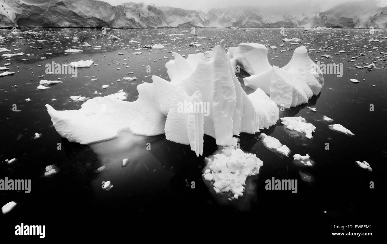 Iceberg in snowstorm, Port Lockroy, Wernicke Island, Antarctic Peninsula, Antarctica. Stock Photo