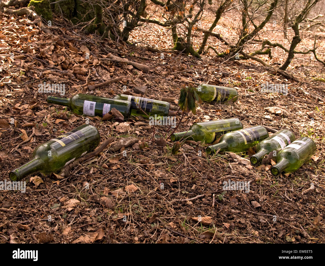 Glass bottles lying on the ground on forest Stock Photo Alamy