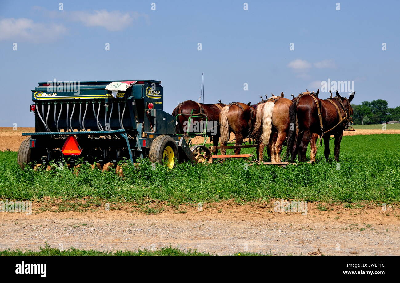 Lancaster County, Pennsylvania A team of four horses pulling a farm