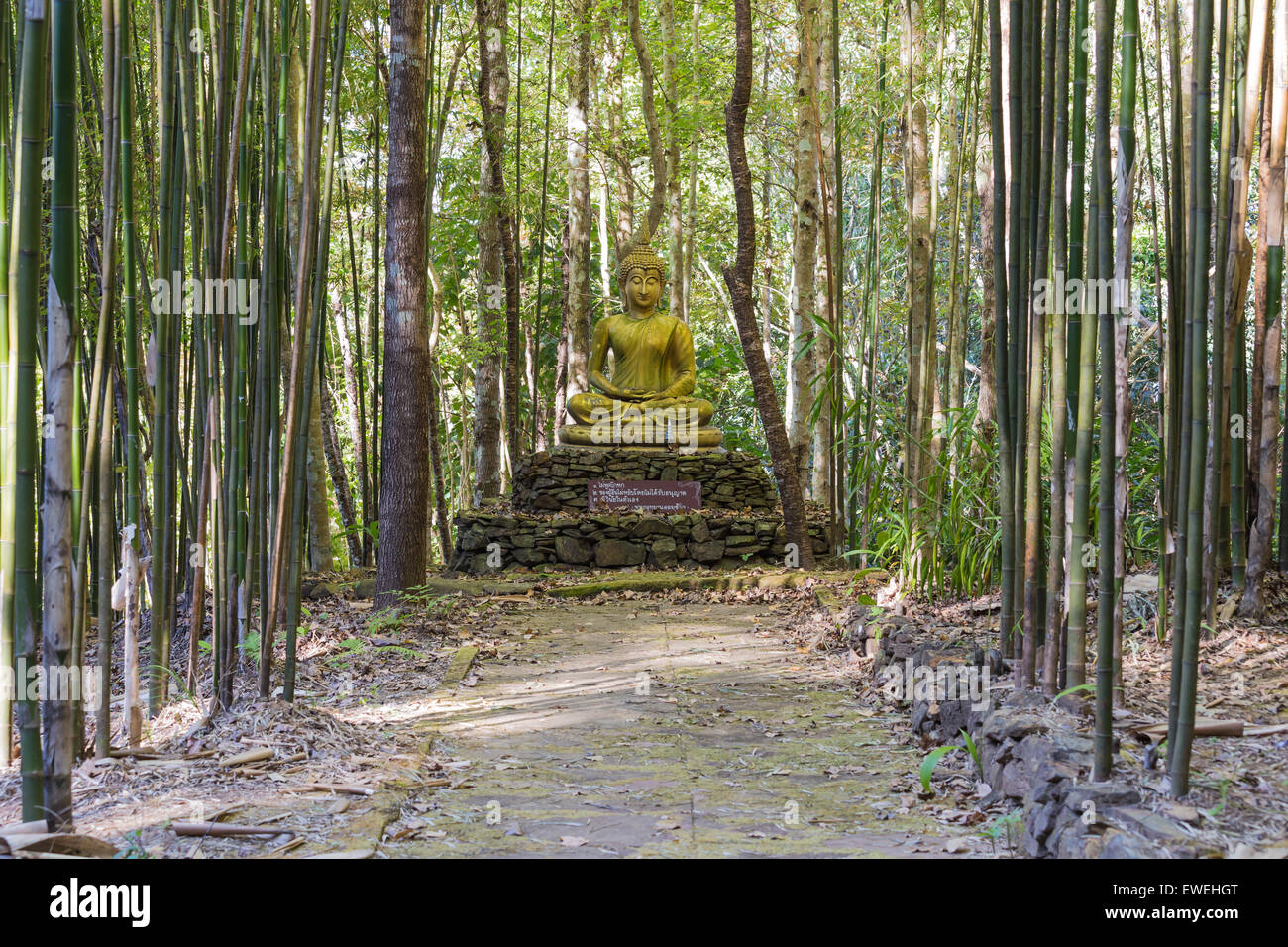 Buddha in the bamboo garden Stock Photo