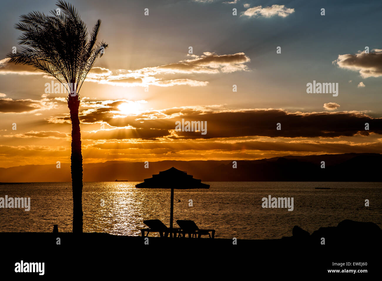 Palm trees at Eilat beach Stock Photo