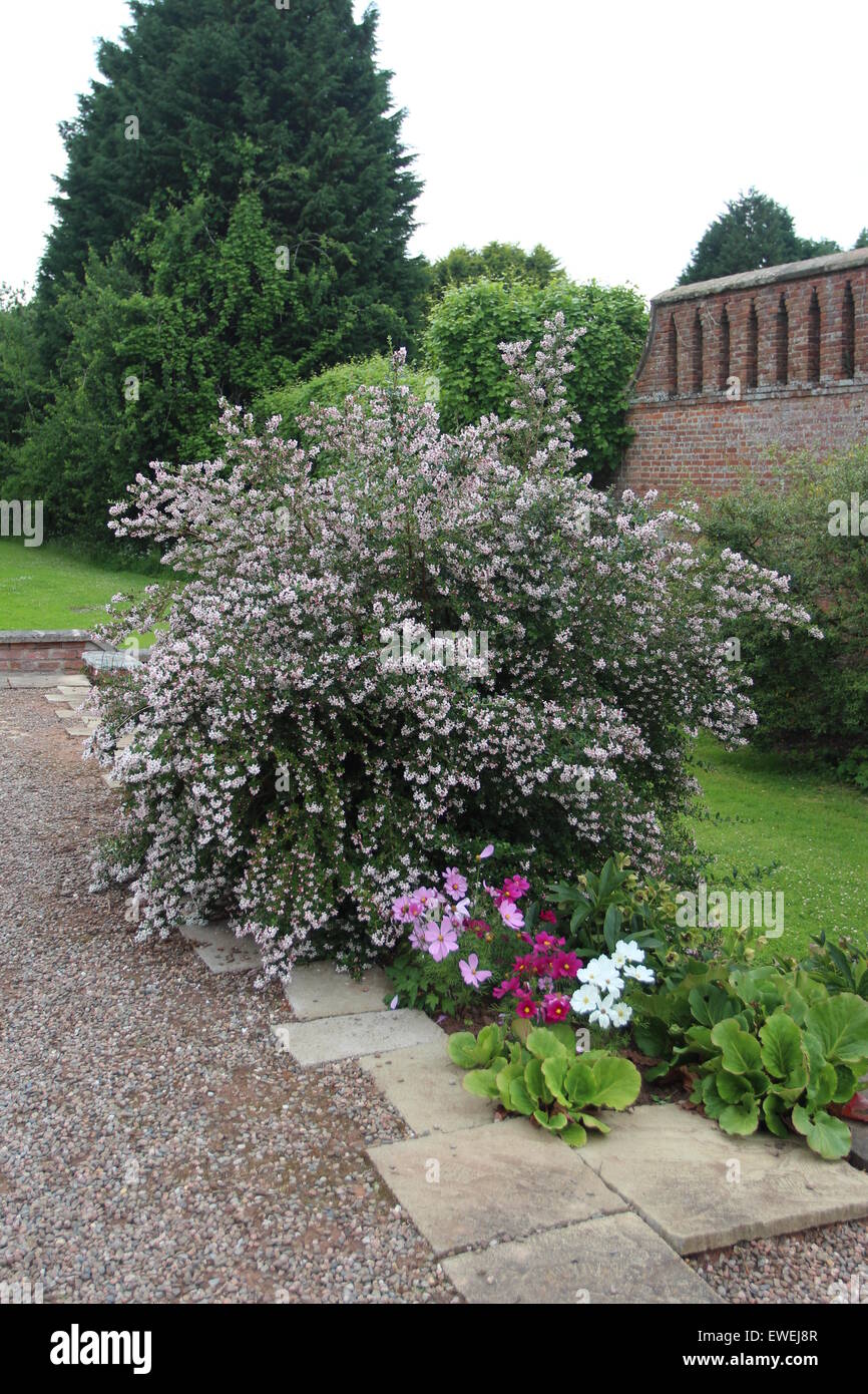 beautiful gardens lots of colour Stock Photo Alamy