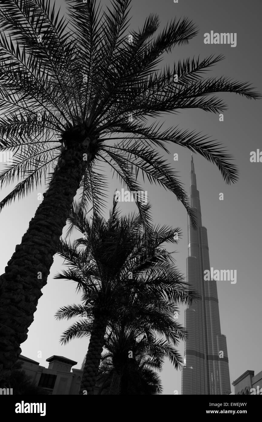 Dubai skyline features modern skyscraper of Burj Khalifa and date palms against dusty monochrome sky Stock Photo