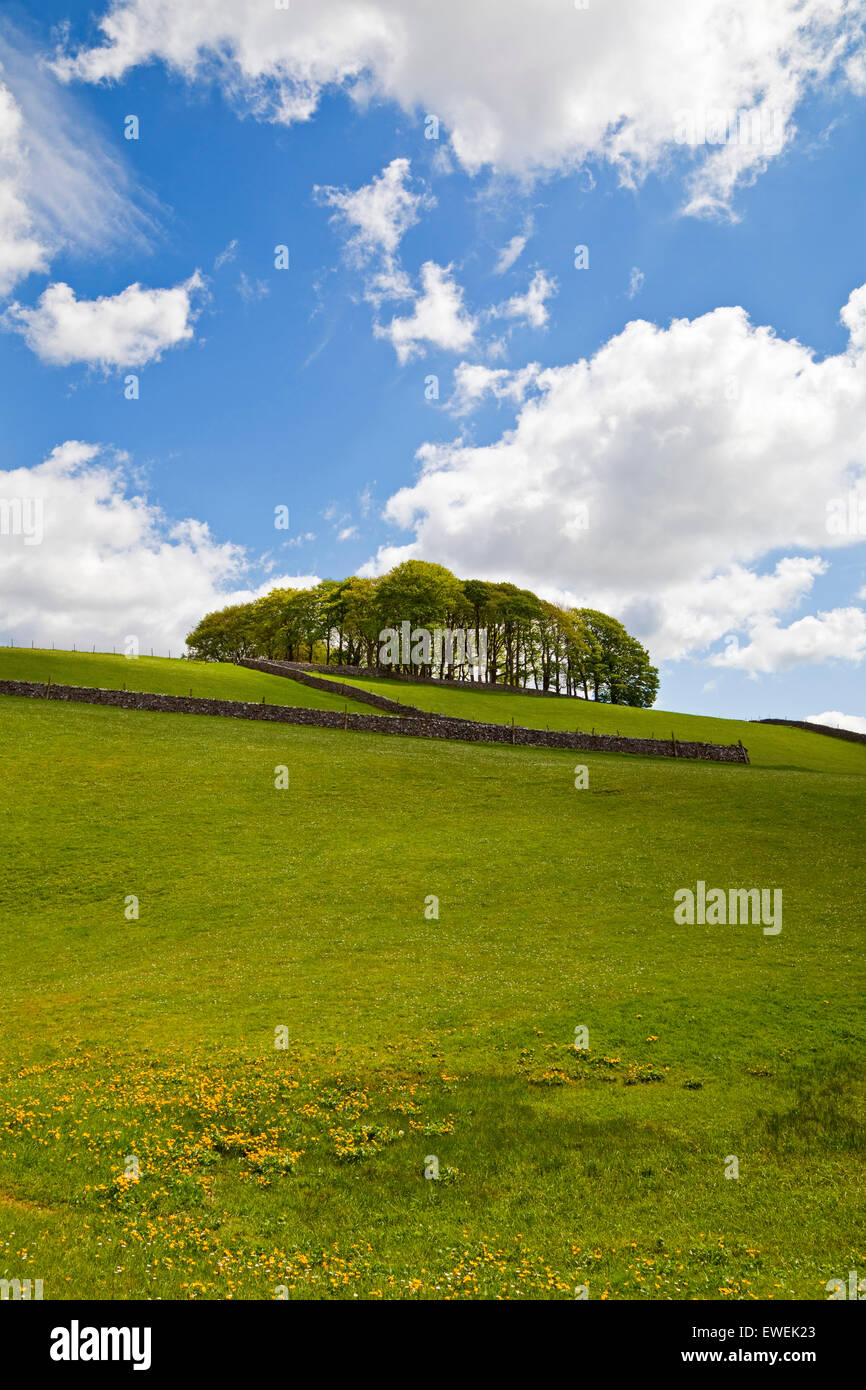 A landscape view in The Yorkshire Dales UK Stock Photo
