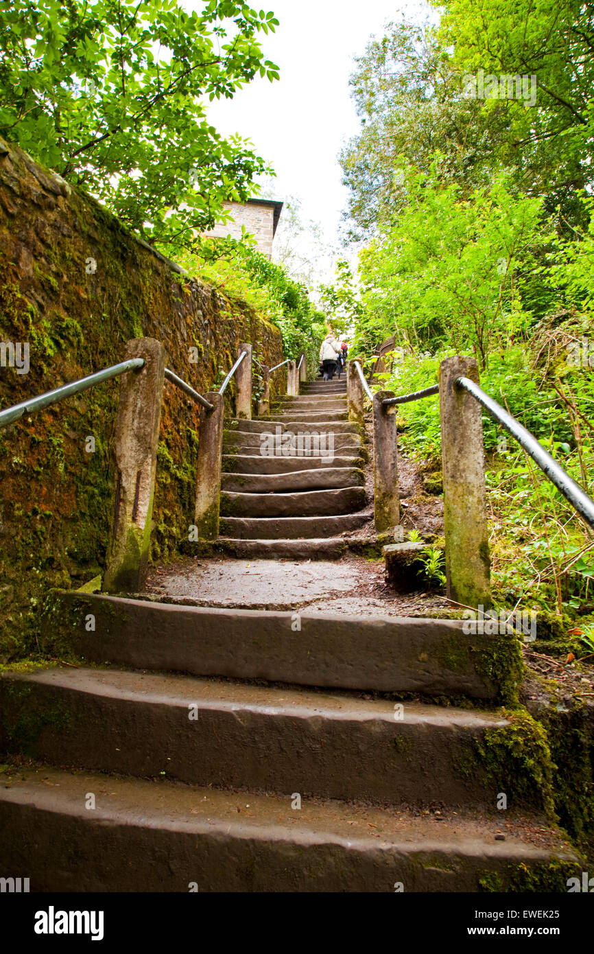 The Radical Steps Kirby Lonsdale North Yorkshire UK Stock Photo