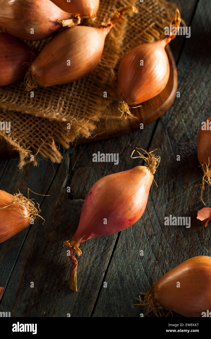 Raw Organic Spicy Shallots on a Background Stock Photo Alamy