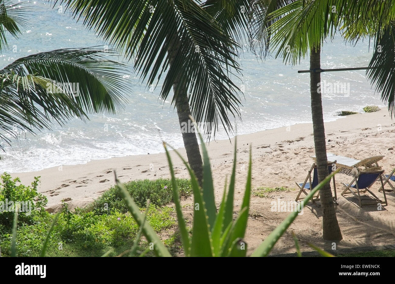Sri Lanka paradise beach, Southern Province in December. Stock Photo