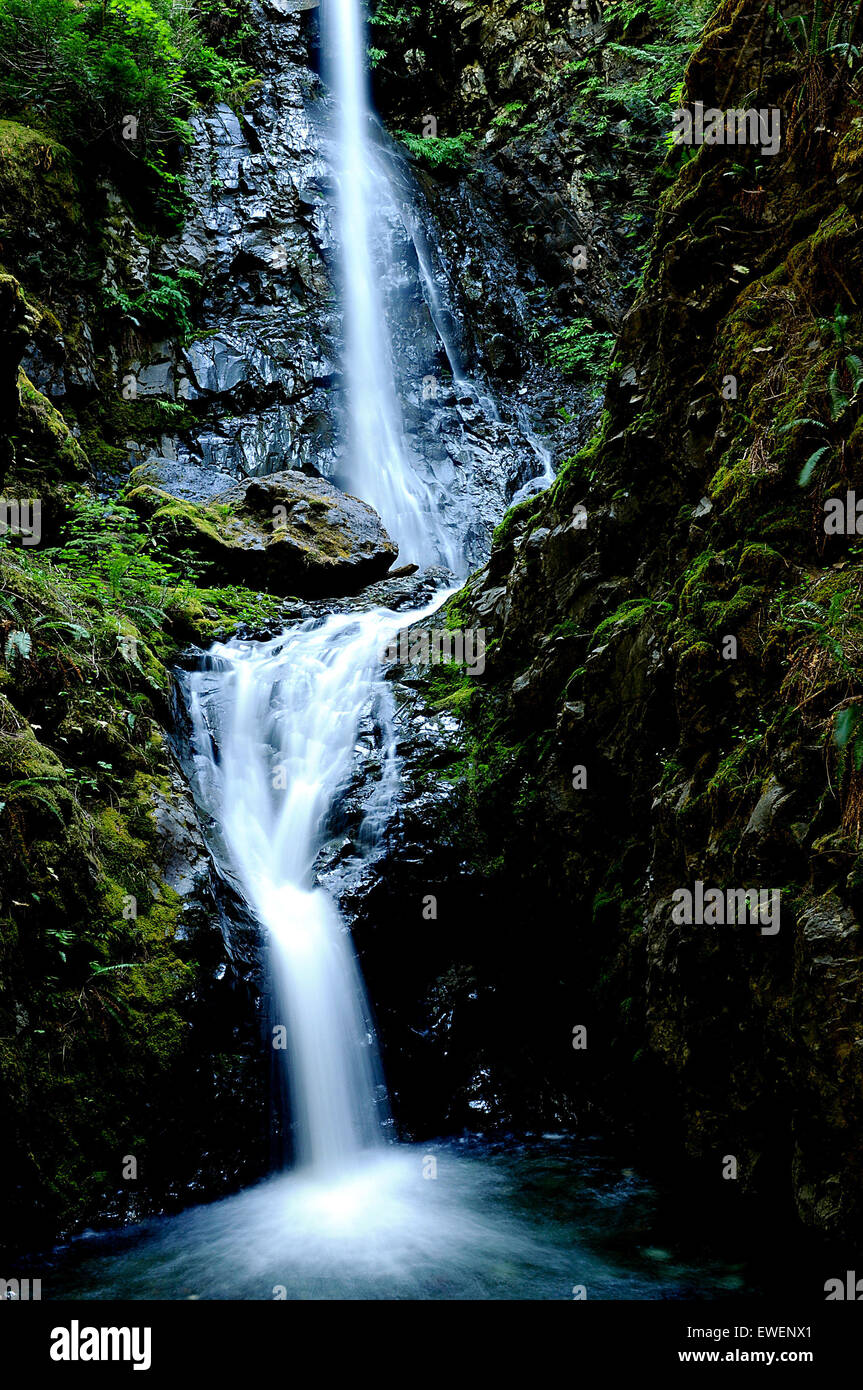 Lupine Falls in Strathcona Provincial Park, Vancouver Island, British Columbia, Canada. Stock Photo