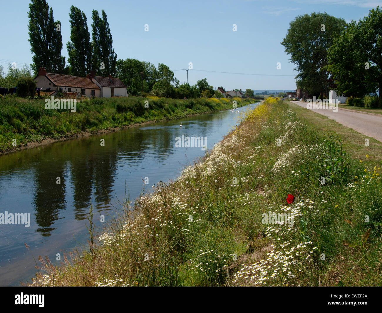 The East Deane Way along the River Tone, Curry Moor, Somerset, UK Stock Photo