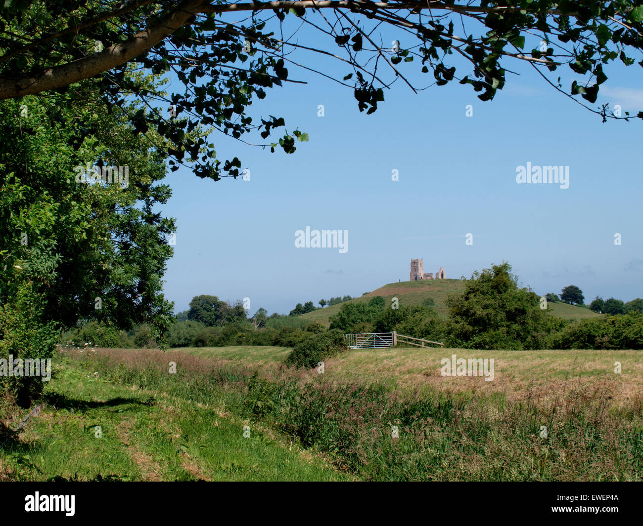 Burrow Mump is a hill and historic site with the ruined church on top of the hill, Burrowbridge, Somerset, UK Stock Photo