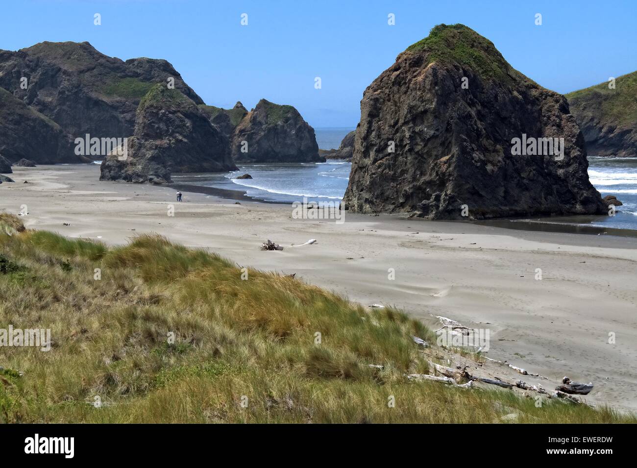 Oregon beach and sea stacks south of Coos Bay Oregon. The Oregon