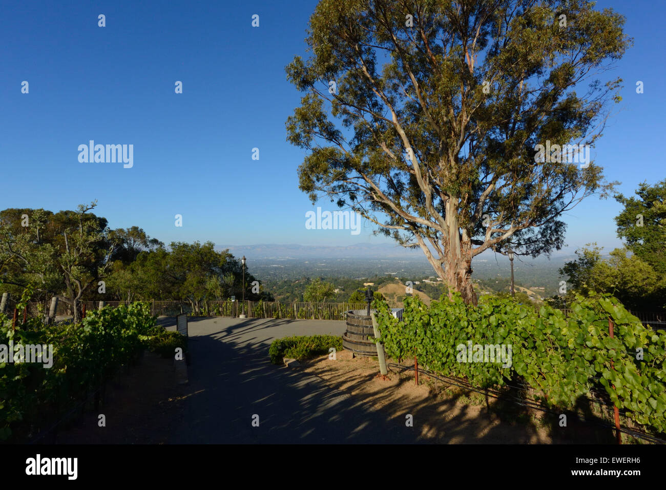 The scenic Mountain Winery above Silicon Valley, Saratoga CA Stock Photo