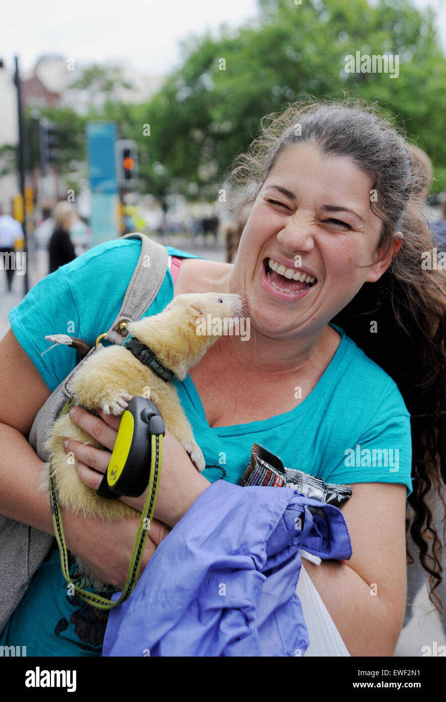 Brighton UK 23rd June 2015 - Jessica Martin can often seen walking her pet white ferret called 'Little Buddha' around the streets of Brighton where he has become well known Stock Photo