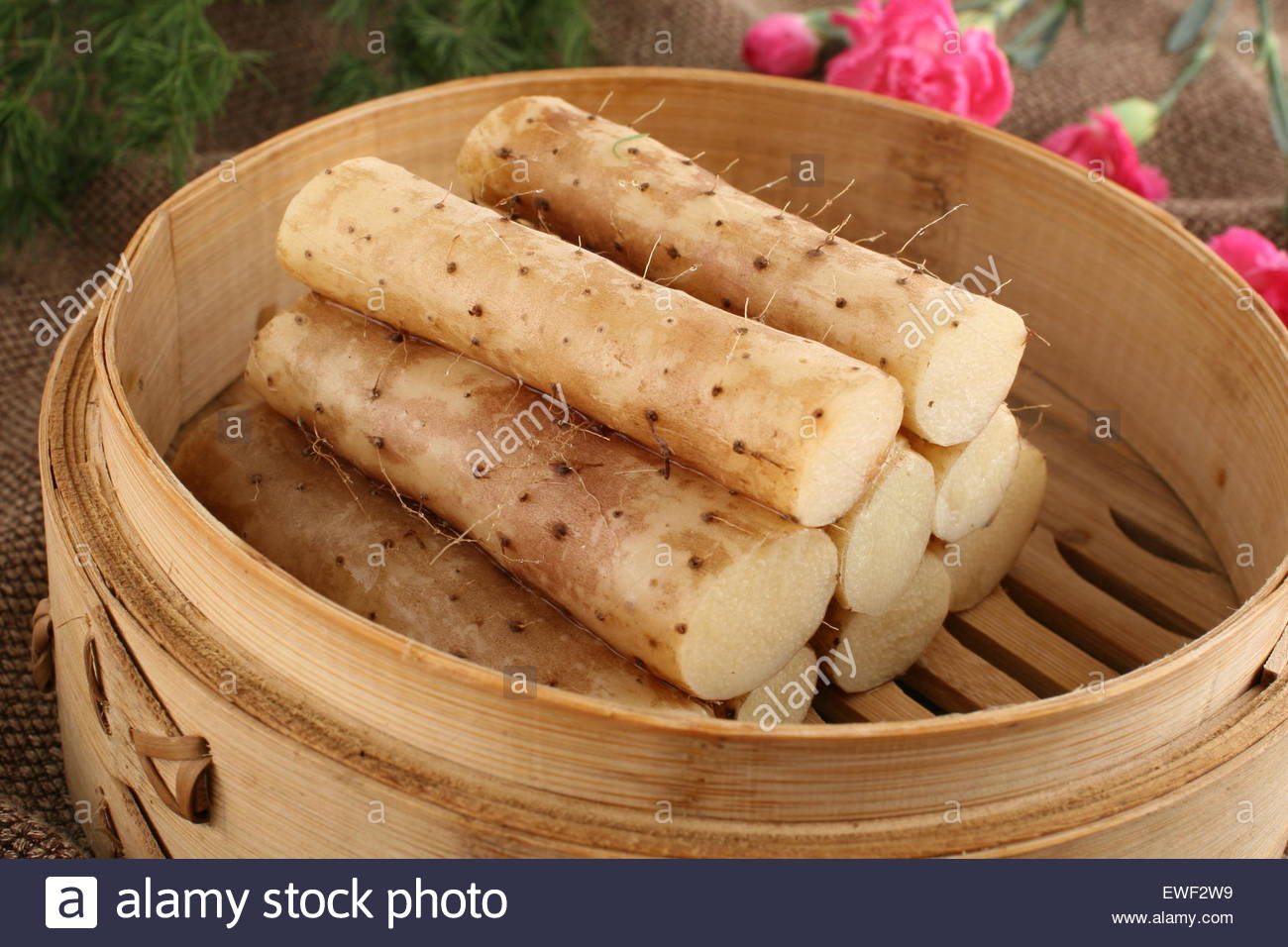 Chinese Yam Stock Photos & Chinese Yam Stock Images Alamy