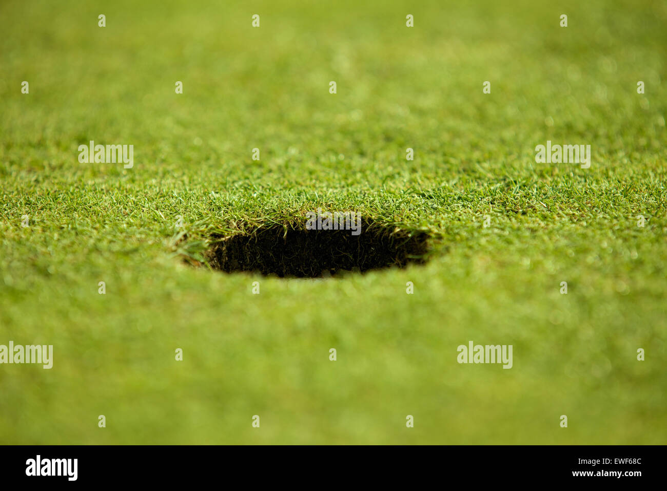 Close-up of hole on putting green Stock Photo