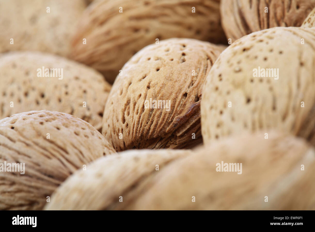 Almond in shell on white background Stock Photo Alamy