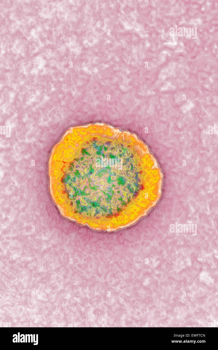 Hepatitis c virus microscope hi-res stock photography and images - Alamy