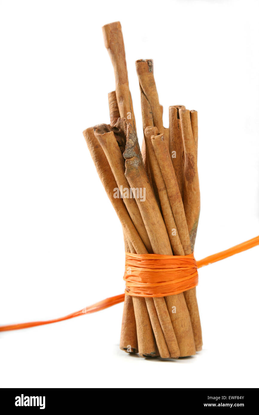 Tied Bunch of cinnamon Sticks Stock Photo