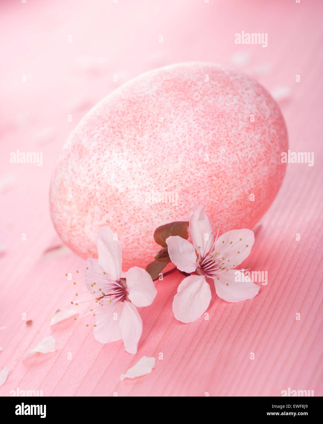 Studio shot colorful easter hi-res stock photography and images - Alamy