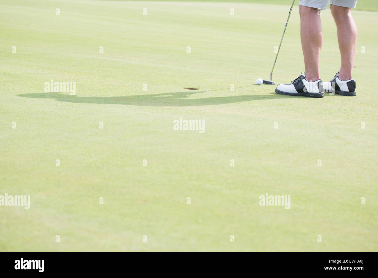 Low section of middle-aged man playing golf Stock Photo