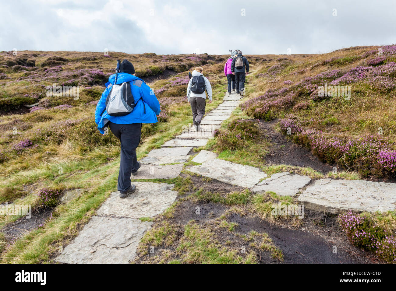 Walkers walking on a stone footpath across moorland, Kinder Scout, Derbyshire, Peak District, England, UK Stock Photo