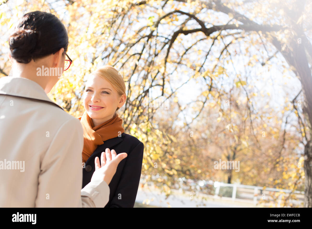 Businesswomen conversing at park on sunny day Stock Photo