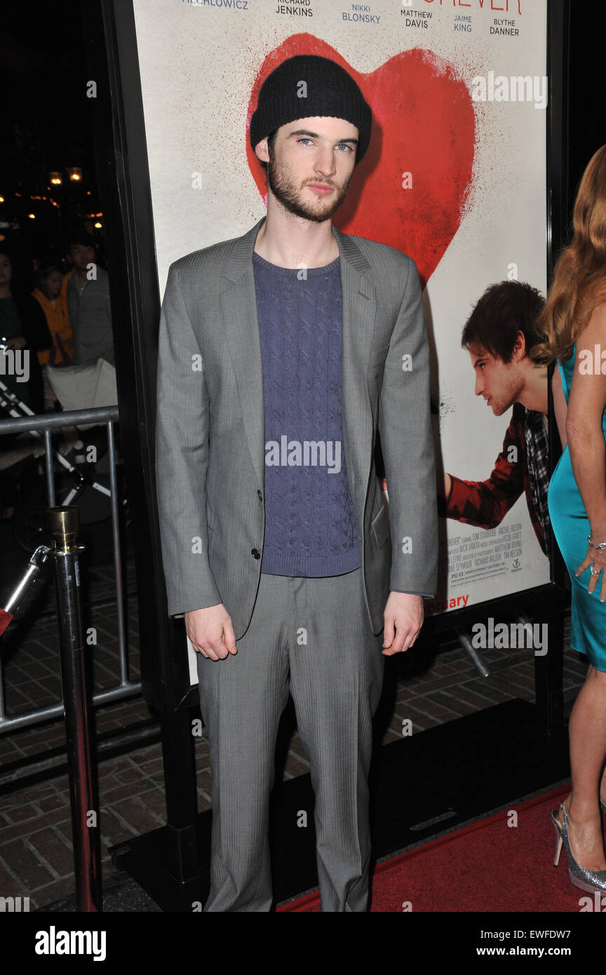 LOS ANGELES, CA - FEBRUARY 1, 2011: Tom Sturridge at the Los Angeles premiere of his new movie 'Waiting for Forever' at the Pacific Theatres at The Grove. Stock Photo
