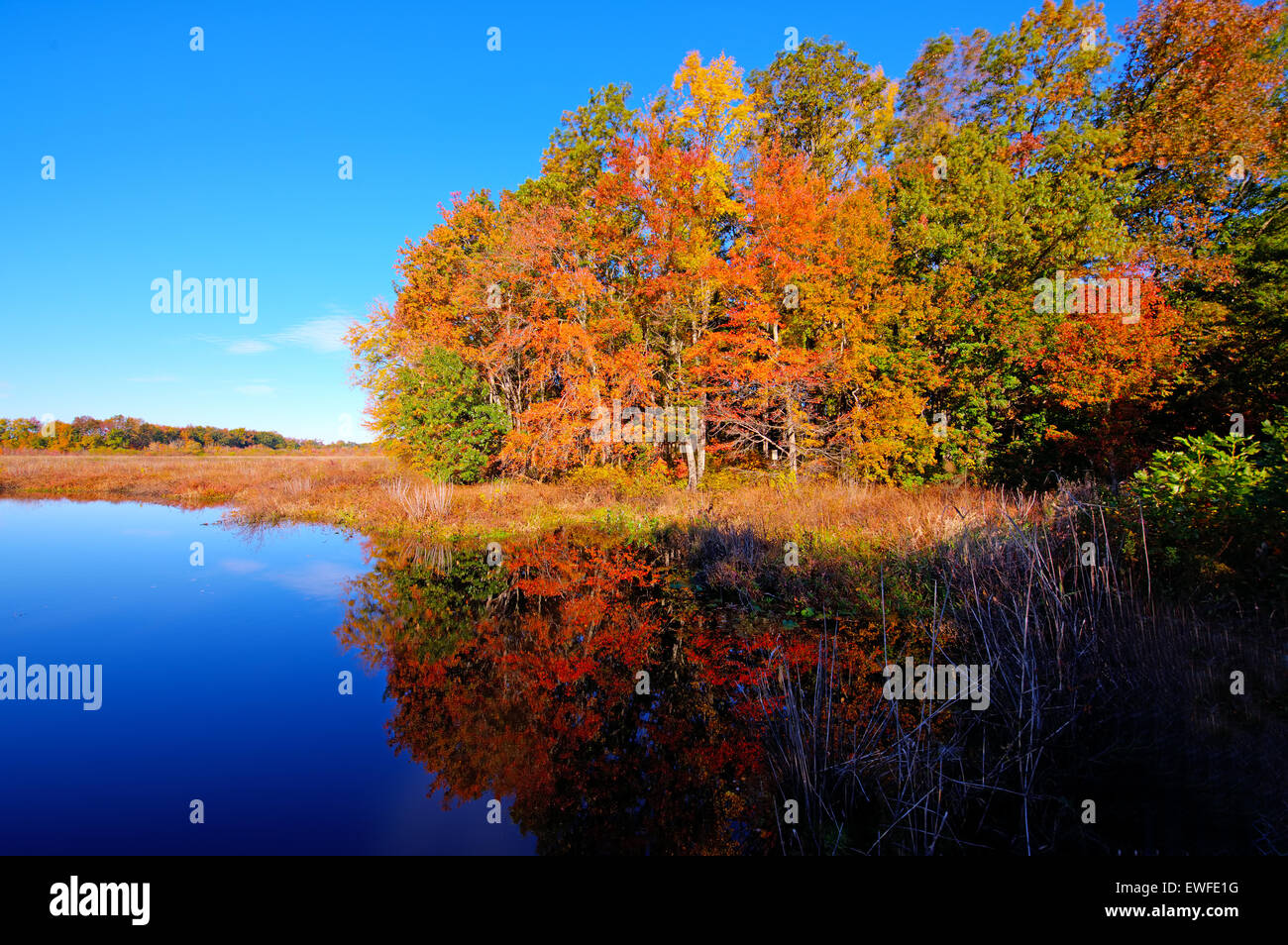 The colors of fall and autumn reflecting off pond Stock Photo