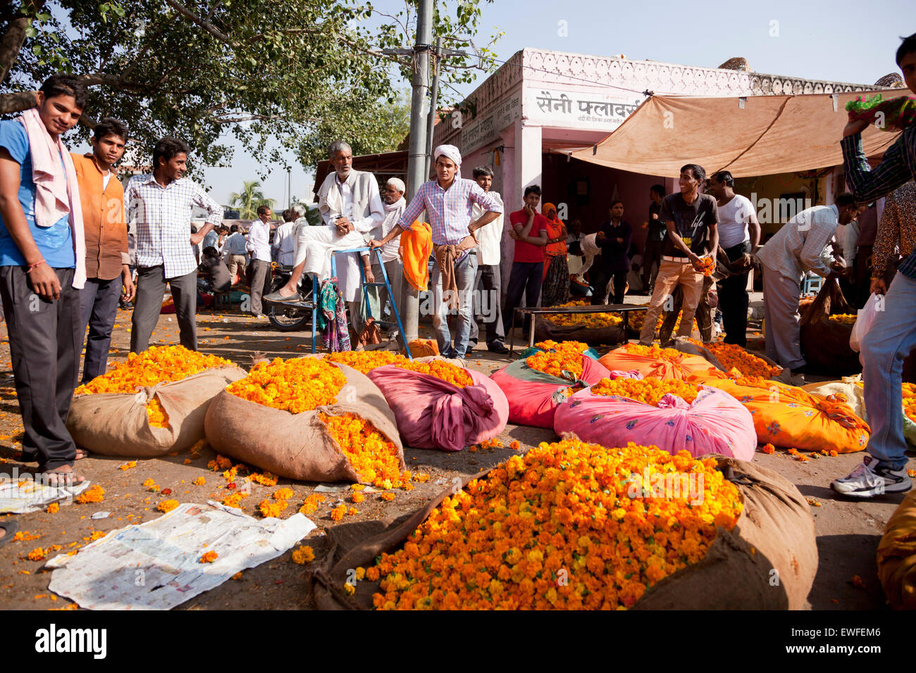 flower market in Jaipur, Rajasthan, India, Asia Stock Photo Alamy