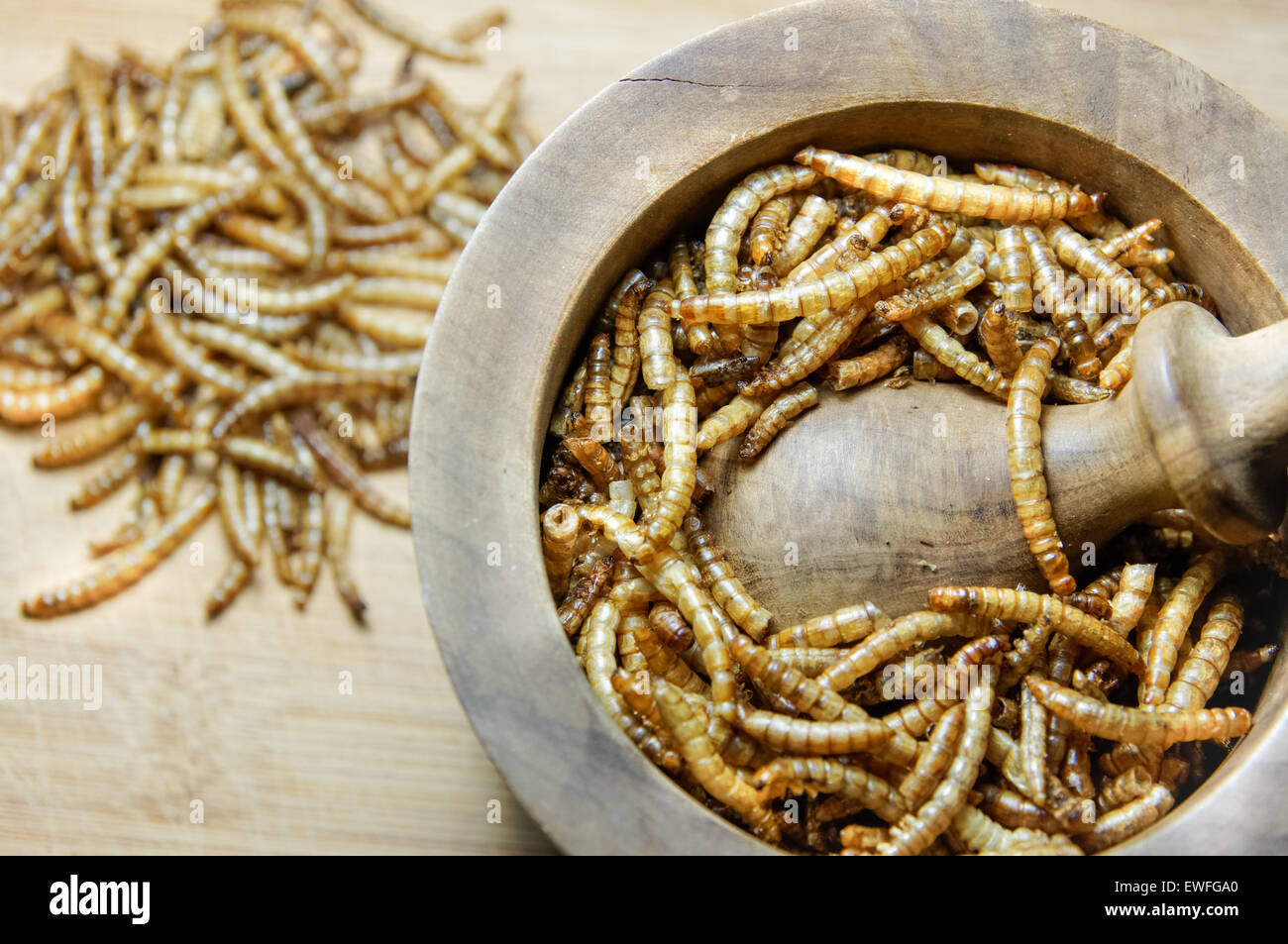 Dried mealworms in mortar Stock Photo