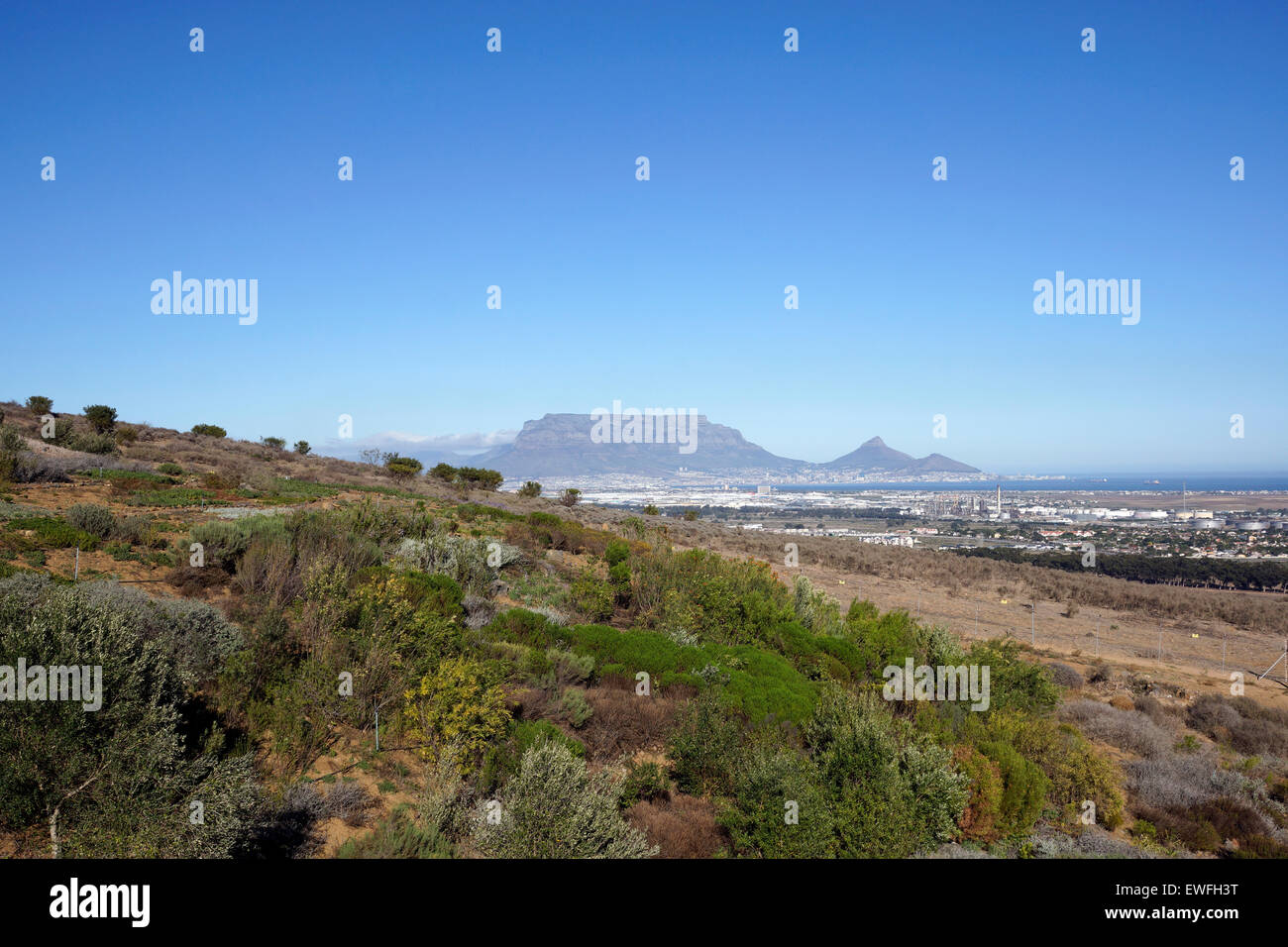The view from Durbanville Hills wine farm with Table Mountain in