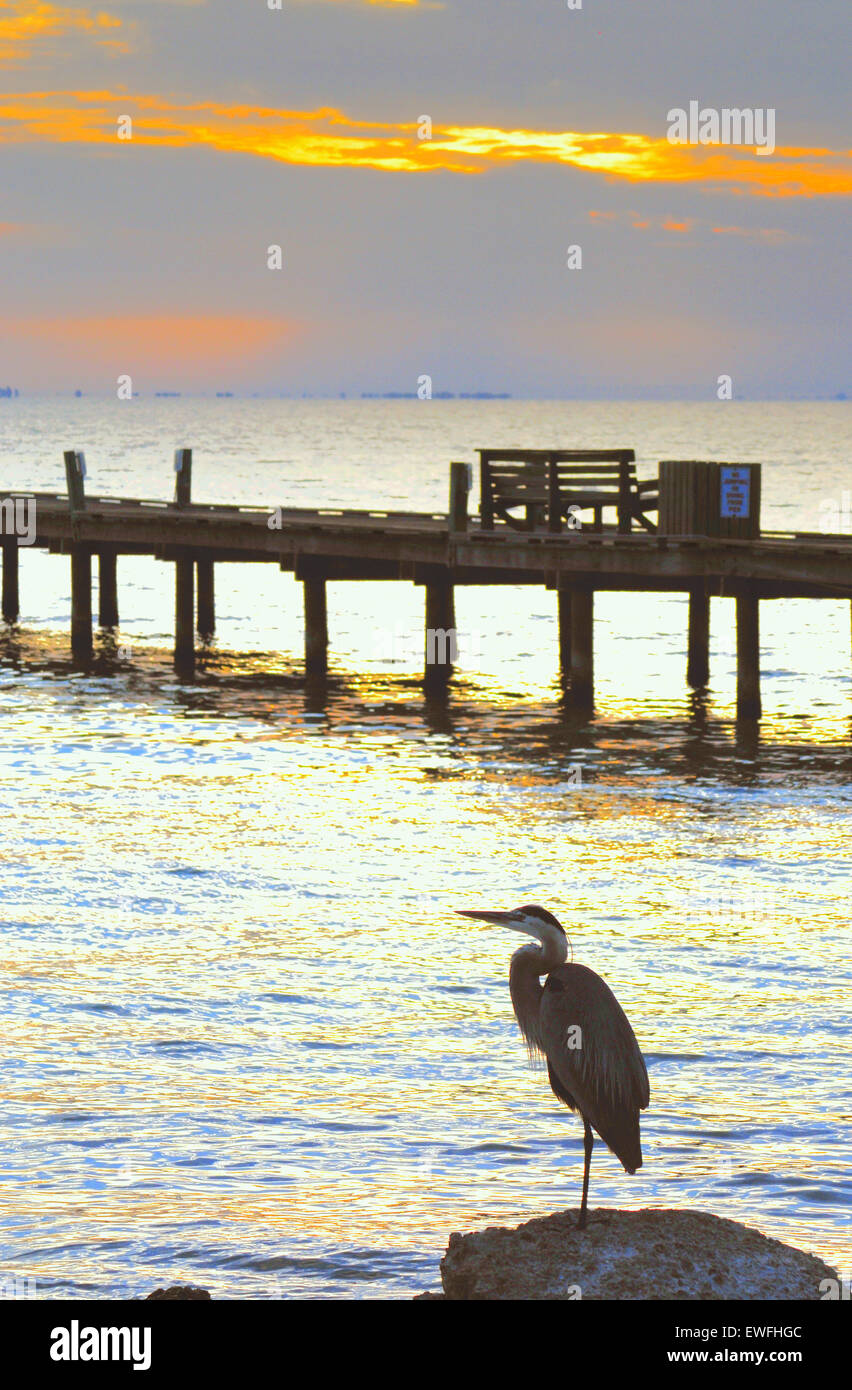 Anna Maria Island, Florida, USA. 25th June, 2015. Initial Sunrise was