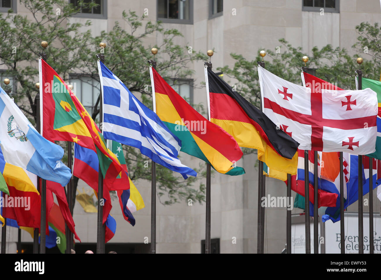 Official New York Flag